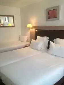 Hôtel Elysées Flaubert - 39