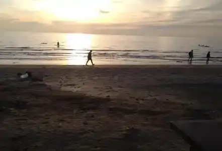 Apple Beachfront Resort - 12