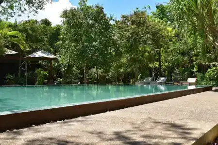 Palm Village Resort & Spa - 13