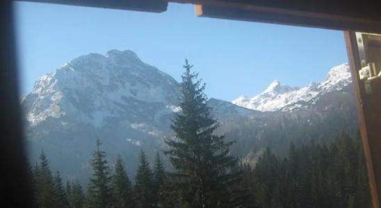 Guest House Nena - 5