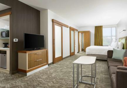 SpringHill Suites by Marriott San Diego Mission Valley - 2