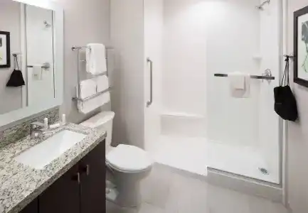 TownePlace Suites by Marriott Orlando at SeaWorld - 7