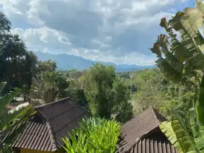 Pura Vida - 78