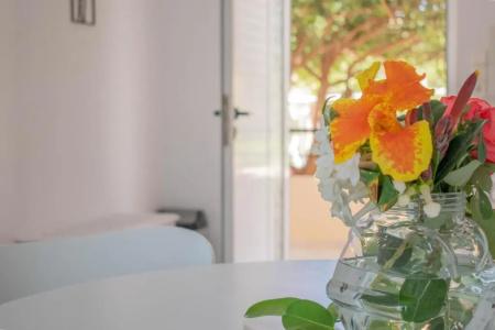 Evdokia Αpartments & Dimitra Village - 75