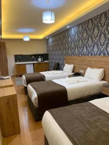 Van Diana Otel - 44