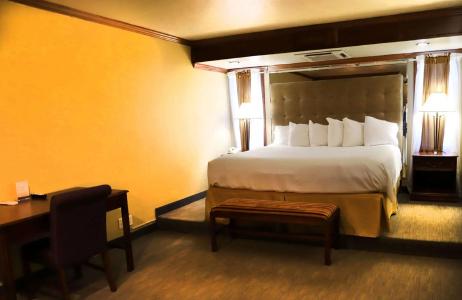 Best Western Inn and Conference Center - 86