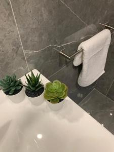 Nicosia 5 Stars Suites - 7