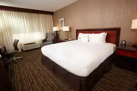 DoubleTree by Hilton Las Vegas Airport - 58