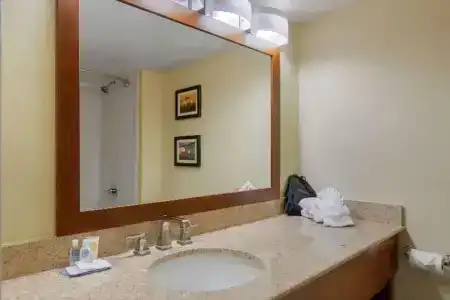 Comfort Inn & Suites SW Houston Sugarland - 32