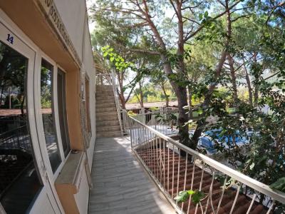 Atilla's Getaway - 17
