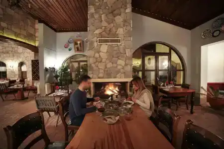 Vinifera Vineyards - 24