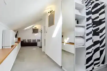 Apart Zebra - 15
