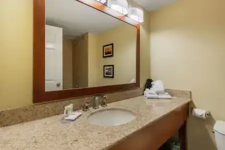 Comfort Inn & Suites SW Houston Sugarland - 44