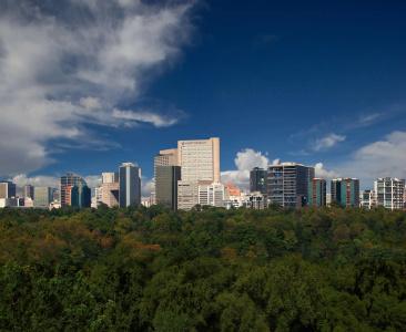 Hyatt Regency Mexico City - 24
