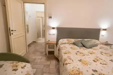 Rosa di Assisi - 87