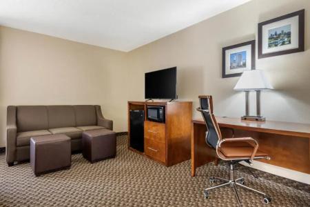 Comfort Inn South - 37