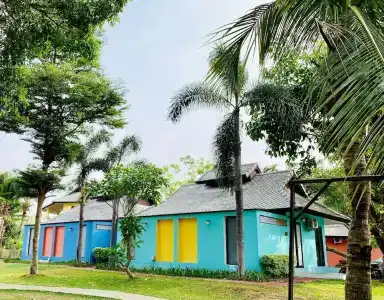 Bura Lumpai - 23