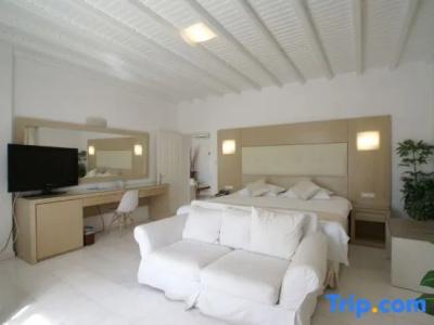 Dionysos Luxury Mykonos - 113