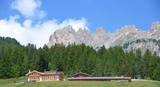 Agritur Majon da Mont - 5