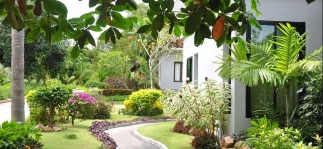 Samui Honey Suite - 34