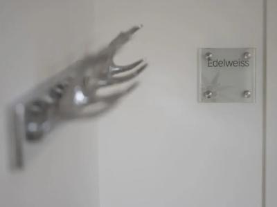 Edelweiss - 146