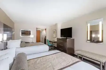 Wingate by Wyndham - Orlando International Airport - 21