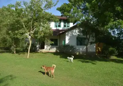 Back of beyond - Wellness Retreat - 61