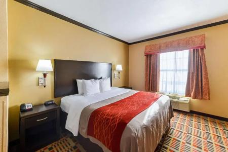 Quality Inn & Suites - 57