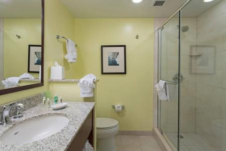 Holiday Inn Orlando – Disney Springs™ Area, An Ihg - 10