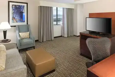 Hilton Garden Inn Denver Downtown - 94