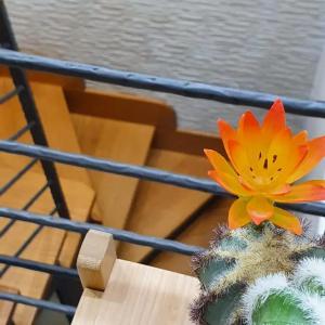 Vittoria Guest House Salerno - 49