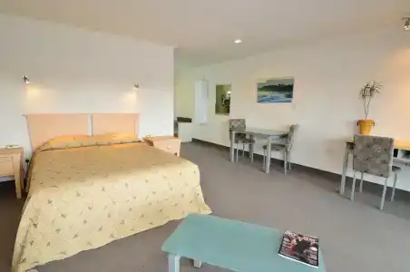 Senator Motor Inn - 5