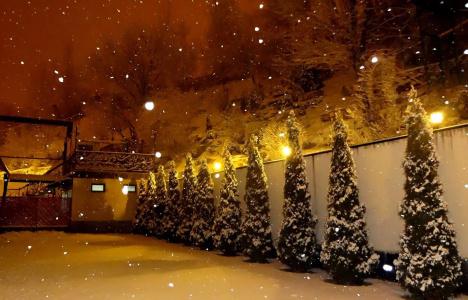 Park Avenue Yerevan - 19