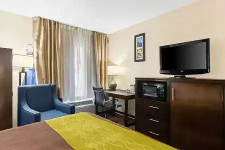 Comfort Inn 290/Nw - 45