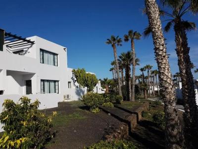 Palmeras Garden - 132
