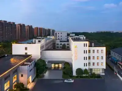 Linzhen - 7