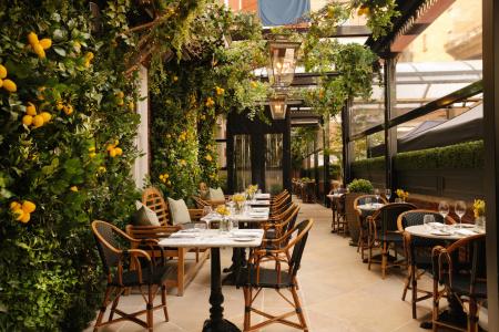 The Bloomsbury - 25