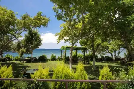 Troas Beach - 20