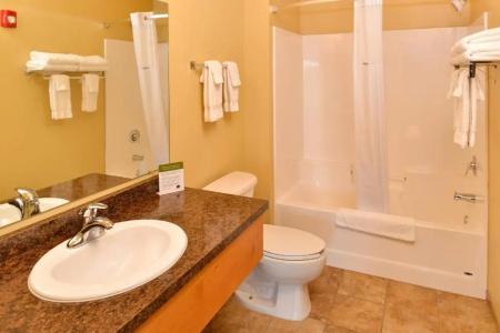 AmericInn by Wyndham Medical Center - 58