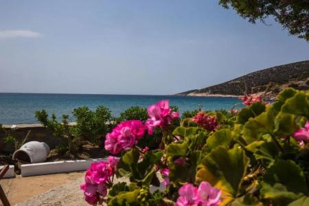 Pension Ageliki Sifnos - 11