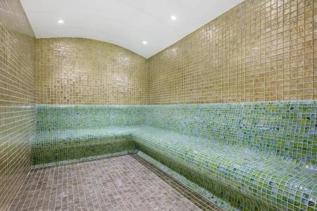 Grand Millenium - 35