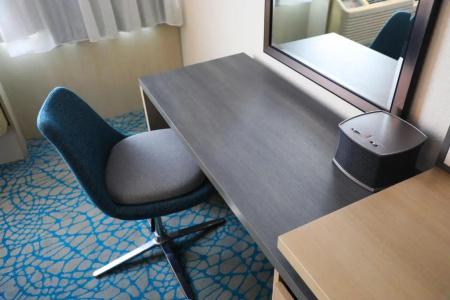 Wyndham Orlando Resort & Conference Center, Celebration Area - 27