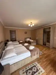 Kazbegi Guide - 18