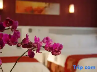 DaLian Spring - 26