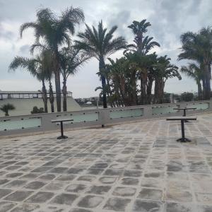 Best Western Nettuno - 33