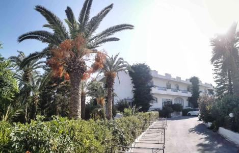 Gorgona - 18
