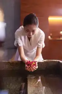 Grand Hyatt Singapore (SG Clean) - 38