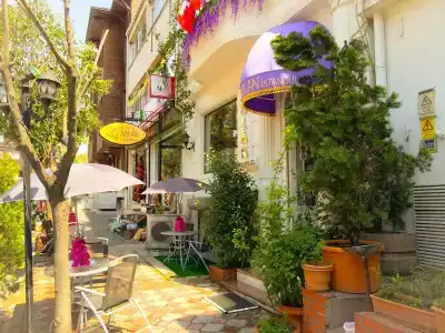 Grand Ambiance - 15