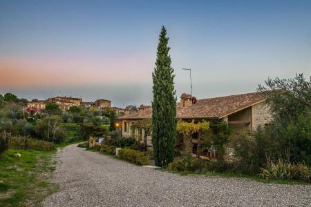 Fattoria Di Corsignano - 18