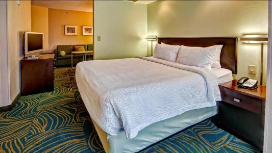 SpringHill Suites Old Dominion University - 36